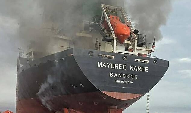 A Thai bulk carrier (pictured) travelling in the crucial Strait of Hormuz was attacked March 11, with 20 crew members rescued so far, the Thai navy said