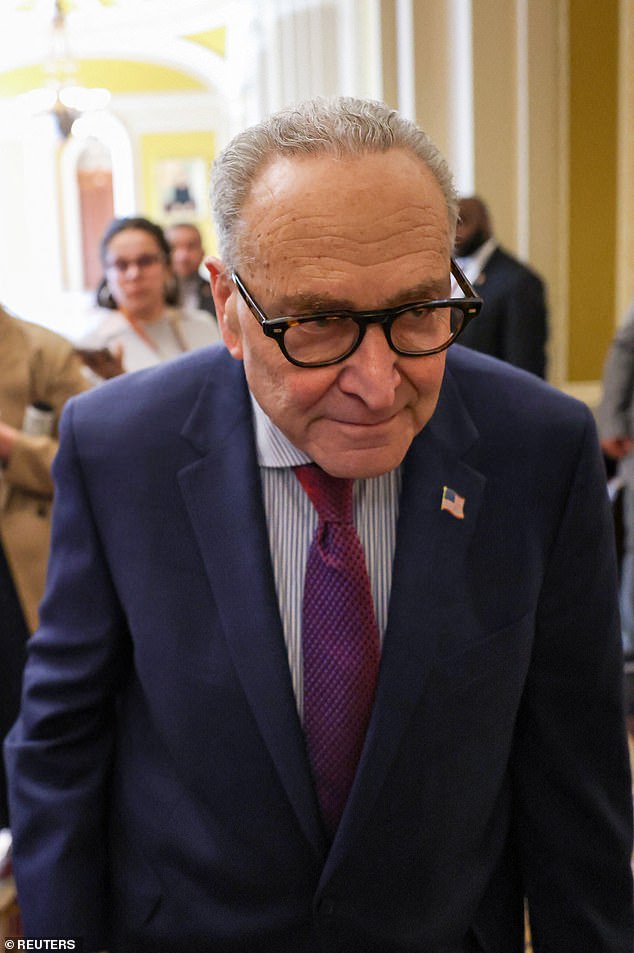 Previously, Trump has blamed Democrat Senate Minority Leader Chuck Schumer (pictured) for the Democrats' partial shutdown of the Department of Homeland Security, which he claimed is preventing the Trump administration from doing anything about it