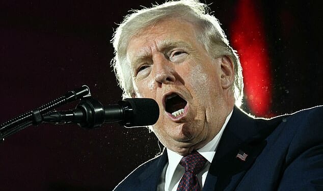 The President reiterated the US does not need anything from NATO but added people should 'never forget'