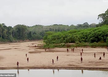 They came like shadows, melting from the sullen weight of the jungle and out onto the beach
