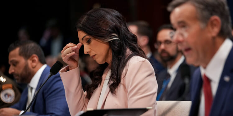 Tulsi Toes the Line - The American Conservative