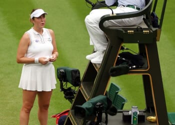 Players at Wimbledon will be allowed to request video replays from umpires should they find fault with the electronic line calls