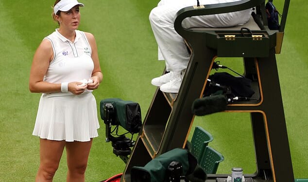 Players at Wimbledon will be allowed to request video replays from umpires should they find fault with the electronic line calls