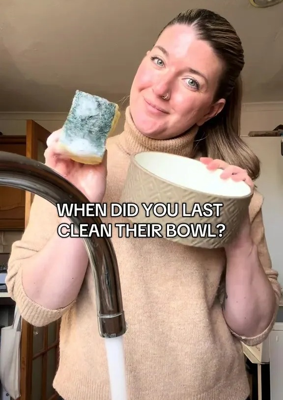 NINTCHDBPICT001063365401