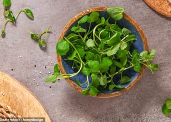 Contrary to popular belief, watercress is a vegetable not a salad