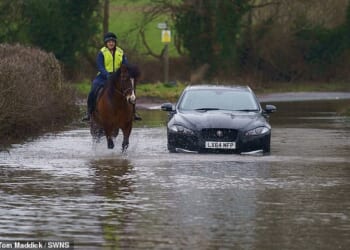 England received 42 per cent more rain than usual last winter, according to the Met Office, with particularly pronounced downpours across southern and central England