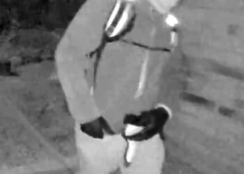 What REALLY happened to Nancy Guthrie? Seven weeks after the TV anchor's mother vanished from her home, GUY ADAMS sifts through the clues in the kidnap mystery gripping the world