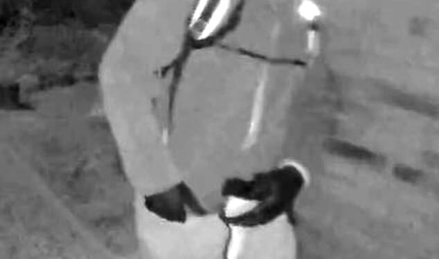 What REALLY happened to Nancy Guthrie? Seven weeks after the TV anchor's mother vanished from her home, GUY ADAMS sifts through the clues in the kidnap mystery gripping the world