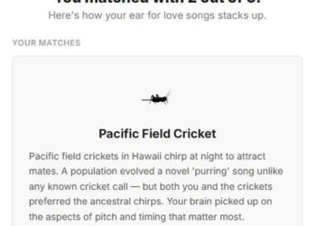 What mating call do YOU find most appealing? Take the test - as a bizarre study reveals humans and animals have the same taste
