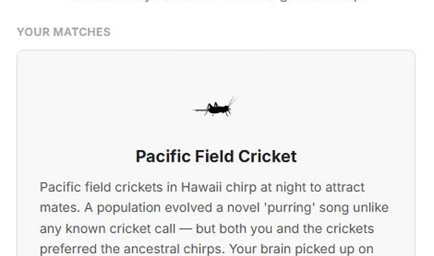 What mating call do YOU find most appealing? Take the test - as a bizarre study reveals humans and animals have the same taste