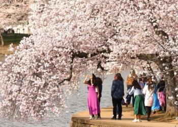 When spring bursts forth with renewal