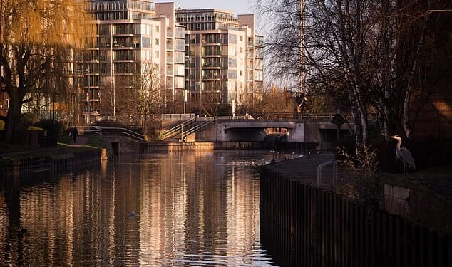 Tottenham offers a rare slice of affordability for first-time buyers and investors alike