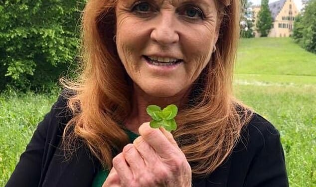 Last seen out in public in London in December for the christening of her youngest granddaughter, Sarah Ferguson (pictured, in County Donegal in Ireland) has disappeared from view amid the ongoing fallout from her links to Jeffrey Epstein