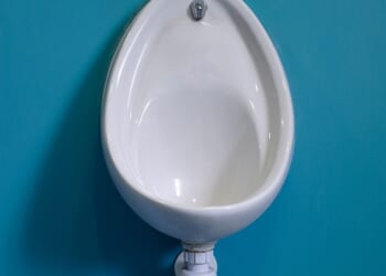 Over a third of men never wipe after urinating, according to YouGov polling, and men's health specialists say that this can lead to a harmful build up of bacteria