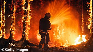 Fighting forest fire
