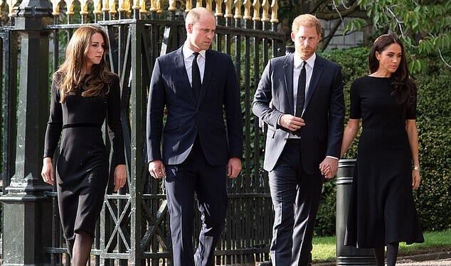 Princes William and Harry had an 'argument' before their 'awkward' Windsor walkabout with Kate and Meghan in 2022 - just one day after the Queen's death, a lip reader has claimed