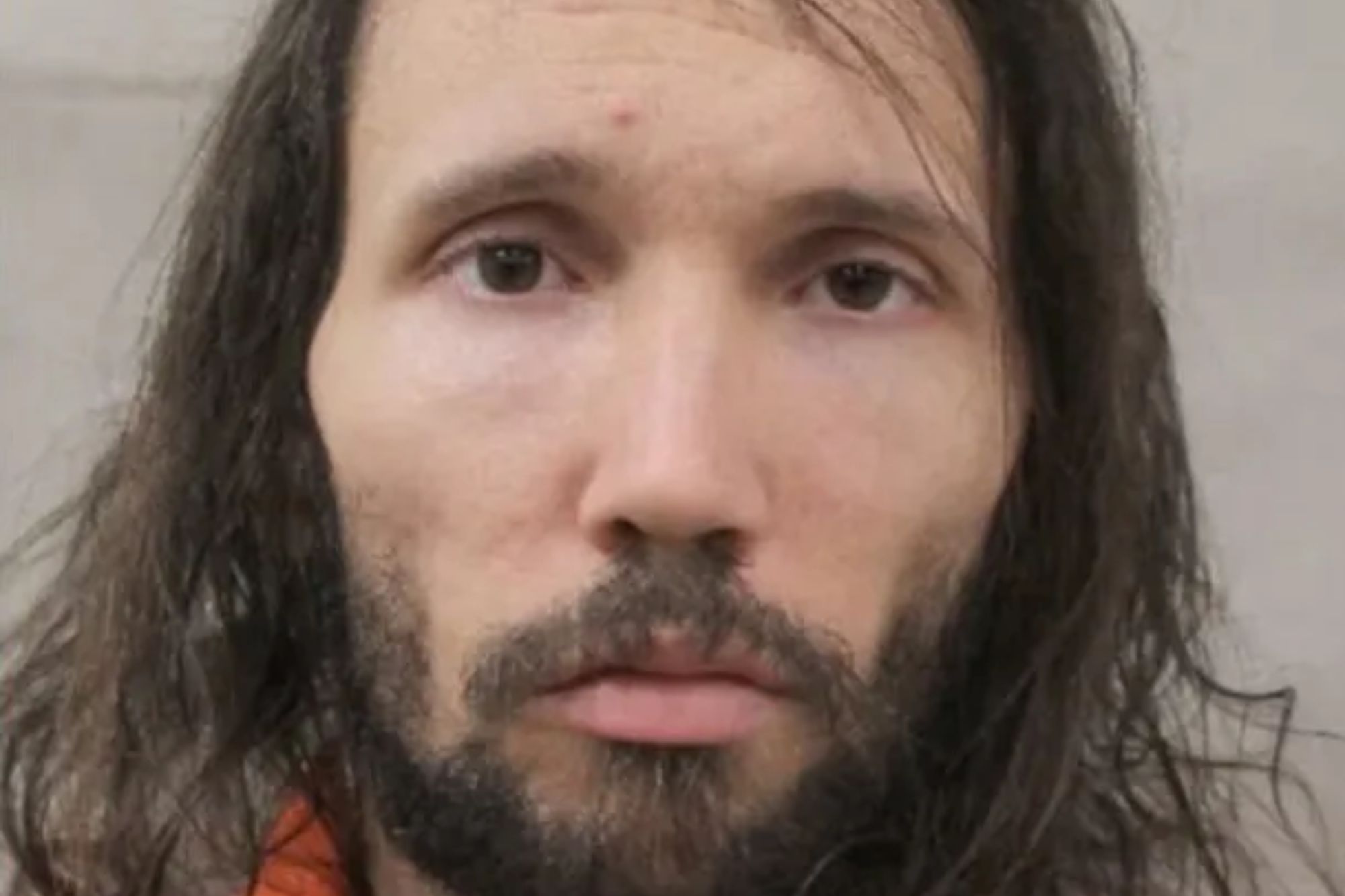 An image collage containing 1 images, Image 1 shows NINTCHDBPICT001068604095