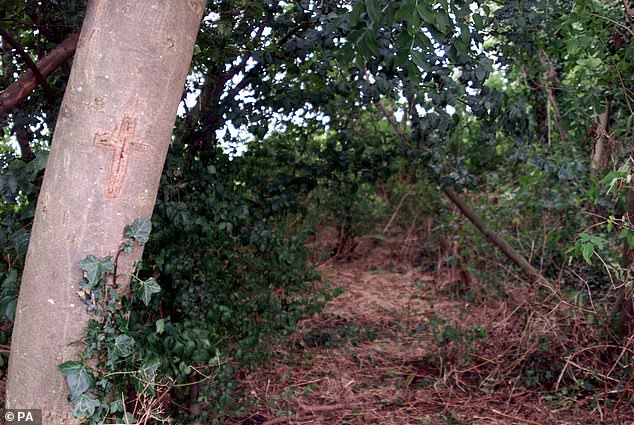 Pictured: A cross carved into a tree near the scene of the murder of the Russell family, in Chillenden in Kent