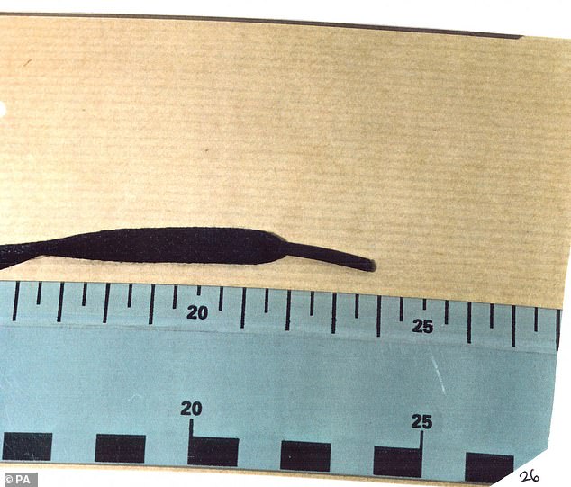 In 2020 a shoelace stained with the victims' blood re-appeared in police storage after being missing for 14 years