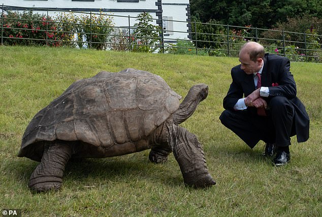 The current Duke of Edinburgh encountered the world's oldest living land animal back in 2024, crouching down to meet Jonathan as the tortoise stretched his neck to take a closer look
