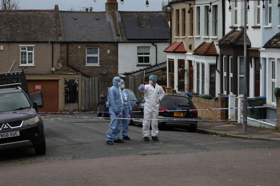 A woman in her 80s was fatally stabbed outside her home in Plumstead