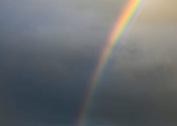 Crisis? Watt crisis? | Chris Bayliss