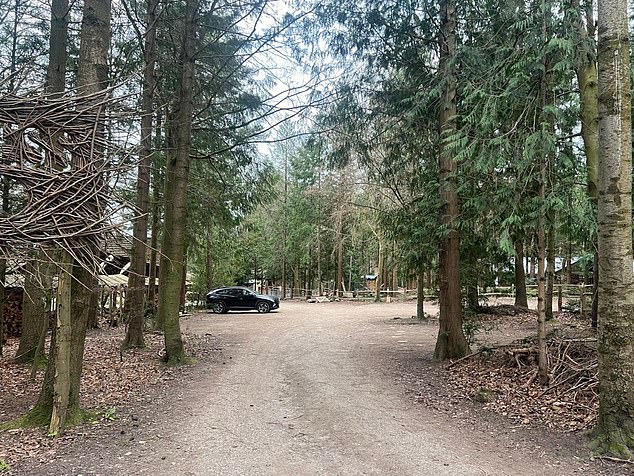 The Wilderness Wood holiday retreat and community hub is nestled among the ancient woodland of the Sussex Weald