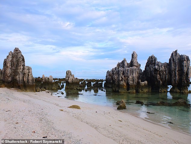 Pictured: Coral rocks on a beach, Nauru