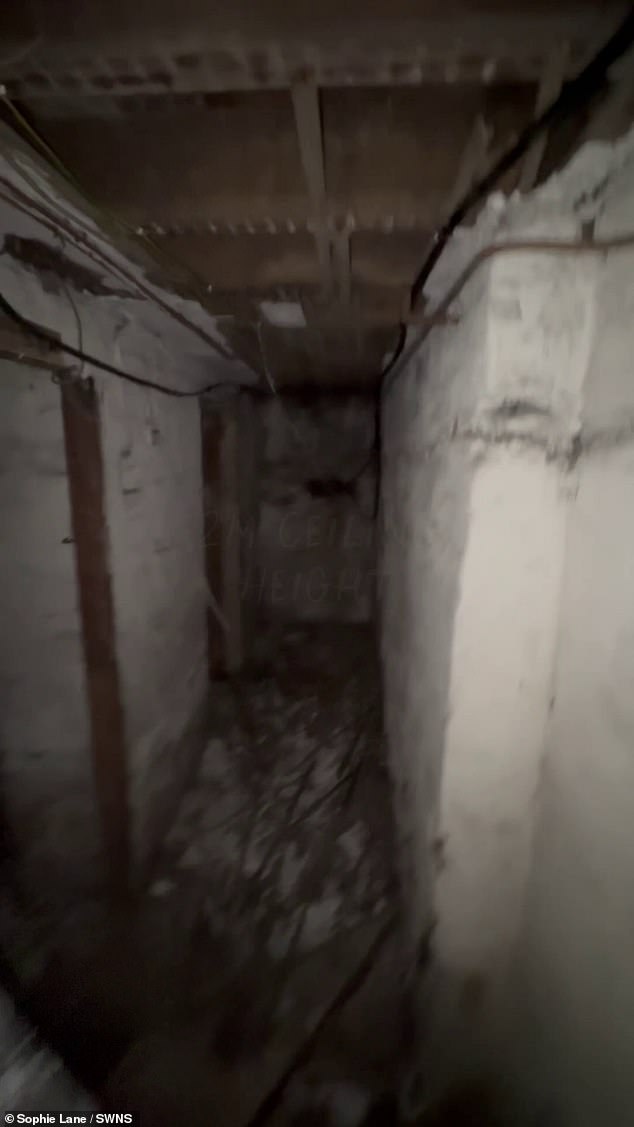 They found two rooms below the house connected by a corridor and plan to convert one into a movie room for their children
