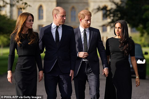 Relations soon started to cool between the Cambridges and the Sussexes... despite wildly over-optimistic talk of a new royal ¿dream team¿, resentments were growing