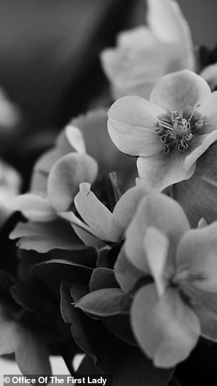 Possible flowers for King Charles' state visit later this month