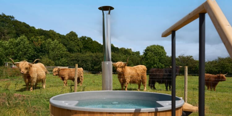 I stayed at the Cotswolds-esque hotel that shares its outdoor spa with Highland cows