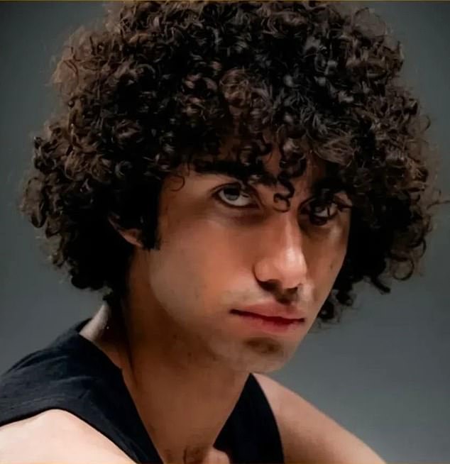This week, 18-year-old musician Amirhossein Hatami (pictured) was hanged