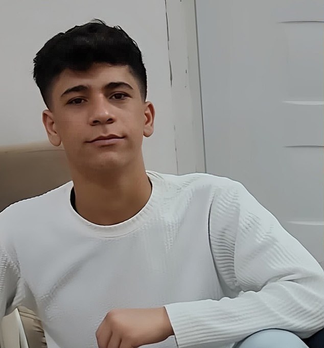 Danial Niazi (pictured), 18, is accused of attempted murder, intentional assault, assembly and collusion against national security