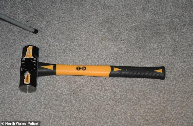 The hammer Roberts bought on Amazon and used to murder his mother in woodland near their home