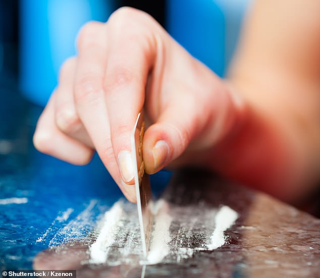As I opened the door of the restaurant, I surprised a man in his early 40s who was openly snorting a line of cocaine straight off the back of his iPhone, writes Nadine Dorries