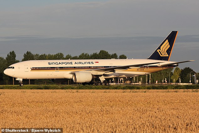 Peaceful passengers: Each airline has its own sound, and Singapore Airlines aims to conjure up feelings of calm and gentleness