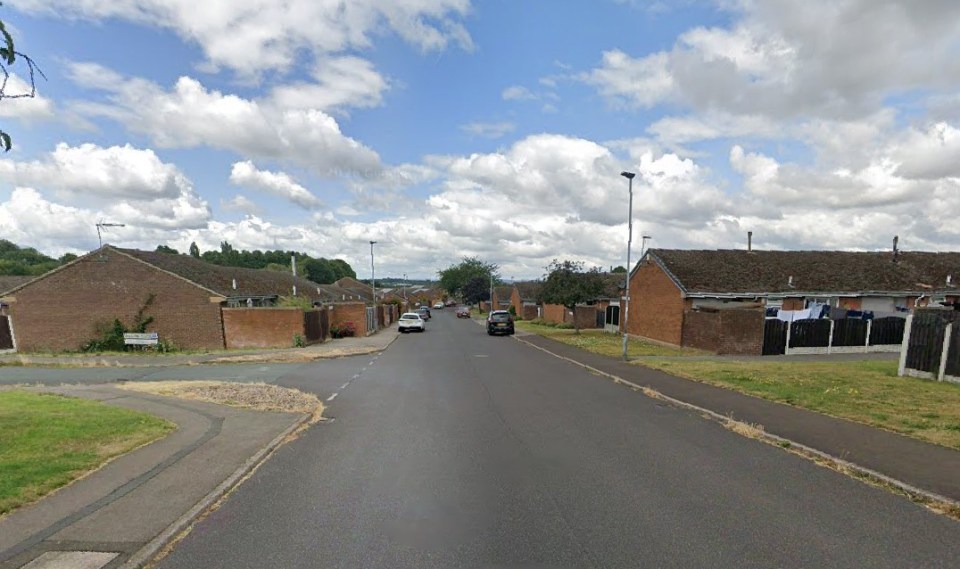 Rose Tree Avenue in Cudworth with houses and parked cars.