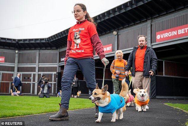 Islay, originally from New Zealand, paraded with owner Carolyne Ricardo, who sported a 'Run fast, Nap hard' t-shirt