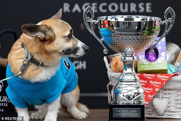 The victorious corgi looked triumphant as she attended the prize-giving