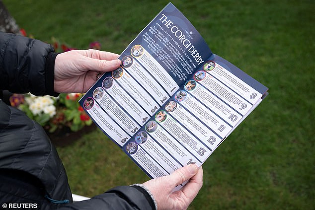 The Derby's programme detailed the dogs in the field for spectators