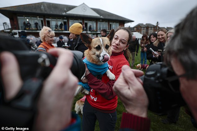 The victorious corgi licked her lips as she savoured the attention in East Lothian