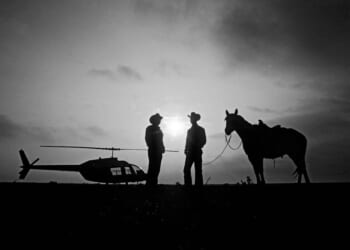 A question of civilisation | Dominic Green