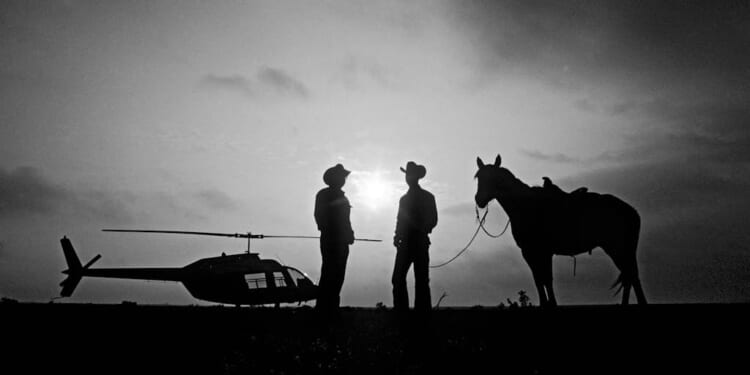 A question of civilisation | Dominic Green