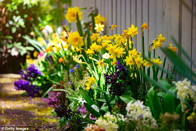 What better way of taking part in this great celebration of life than spending some time in the garden, says Rev Giles Fraser