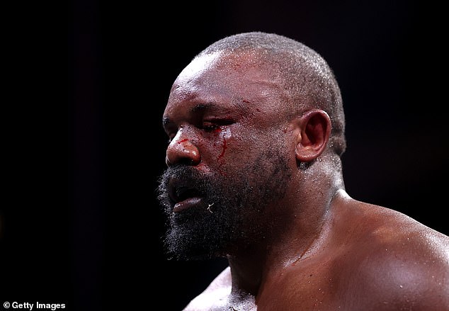 A split decision against Chisora seems about right, even though Wilder landed more of the blows which would have levelled a dozen other opponents on this remarkable night