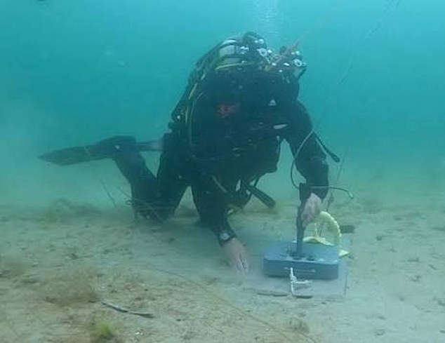 The divers are members of the Diving and Threat Exploitation Group (DTXG) and have one of the most dangerous jobs in the Armed Forces (file photo)