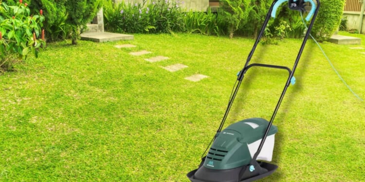 ‘Space-saving’ lawnmower cut to £64 at Argos is ‘great for small gardens’