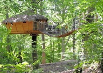 You can stay in a treehouse campsite with rooms you get to by zipline