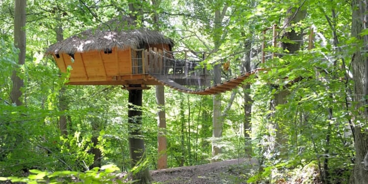 You can stay in a treehouse campsite with rooms you get to by zipline